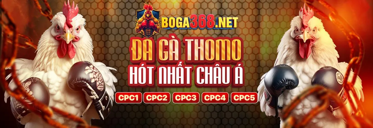 Tổng quan về quy định GDPR và tầm quan trọng của nó