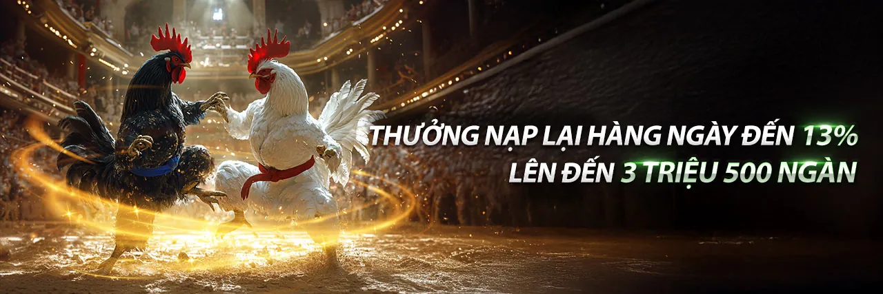 Đá Gà Trực Tuyến tại 678vip code